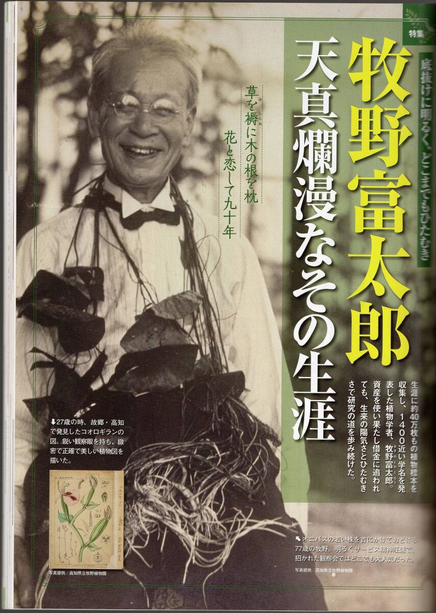 ★サライ 2023年6月号（付録なし）★牧野富太郎★レコード★小学館★クリックポスト★_画像4