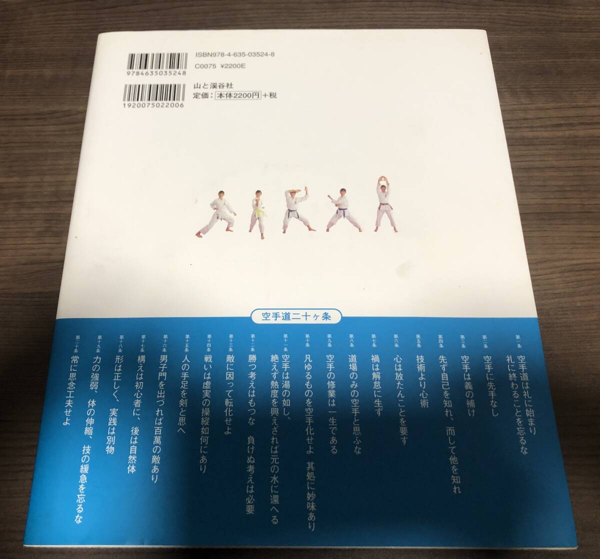 ＤＶＤで学ぶ空手道★おまけつき_画像2