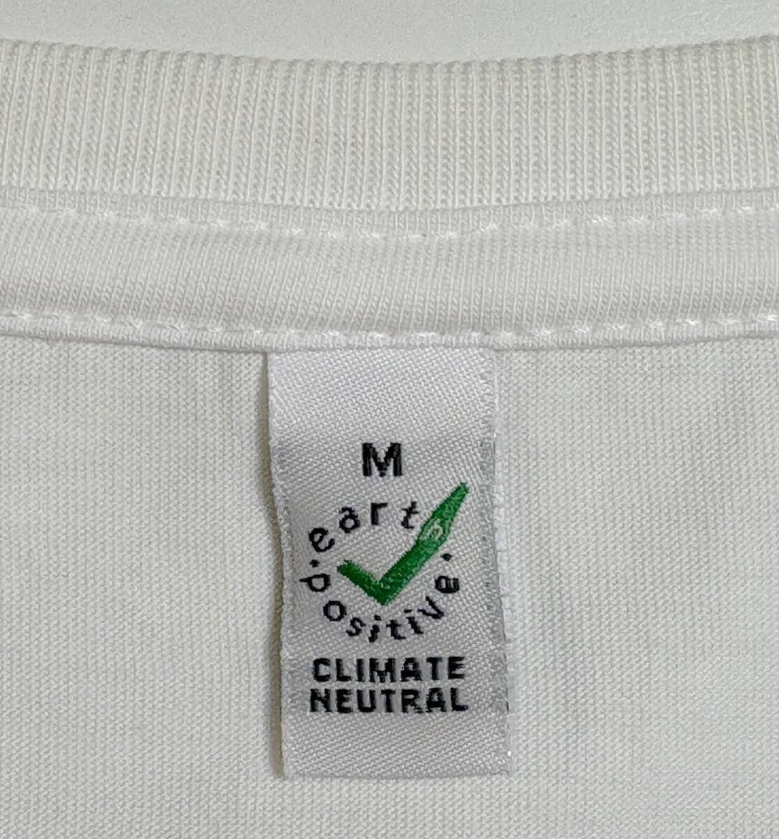 リチャードアシュクロフト Tシャツ M Richard Ashcroft 2016年 日本 ツアー 大阪・東京 The Verve ヴァーヴ ロック バンド_画像4