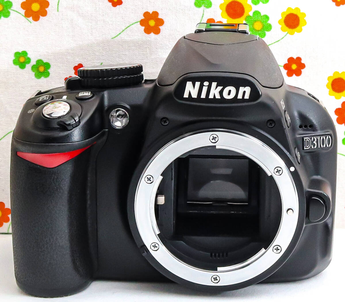 ニコン Nikon D3100☆スマホに送れる☆ダブルレンズ♪☆ガイド