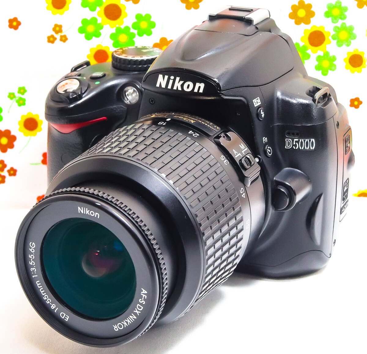 ニコン Nikon D5000☆動画撮影☆スマホに送れる！☆デジタル一眼レフ