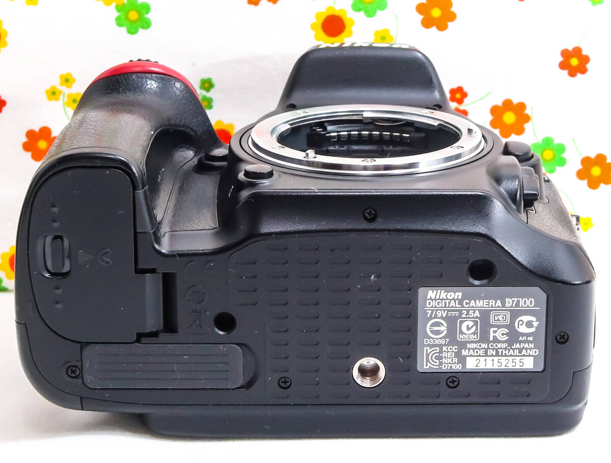 美品 ニコン Nikon D7100☆スマホに転送可♪☆ダブルレンズ☆本格