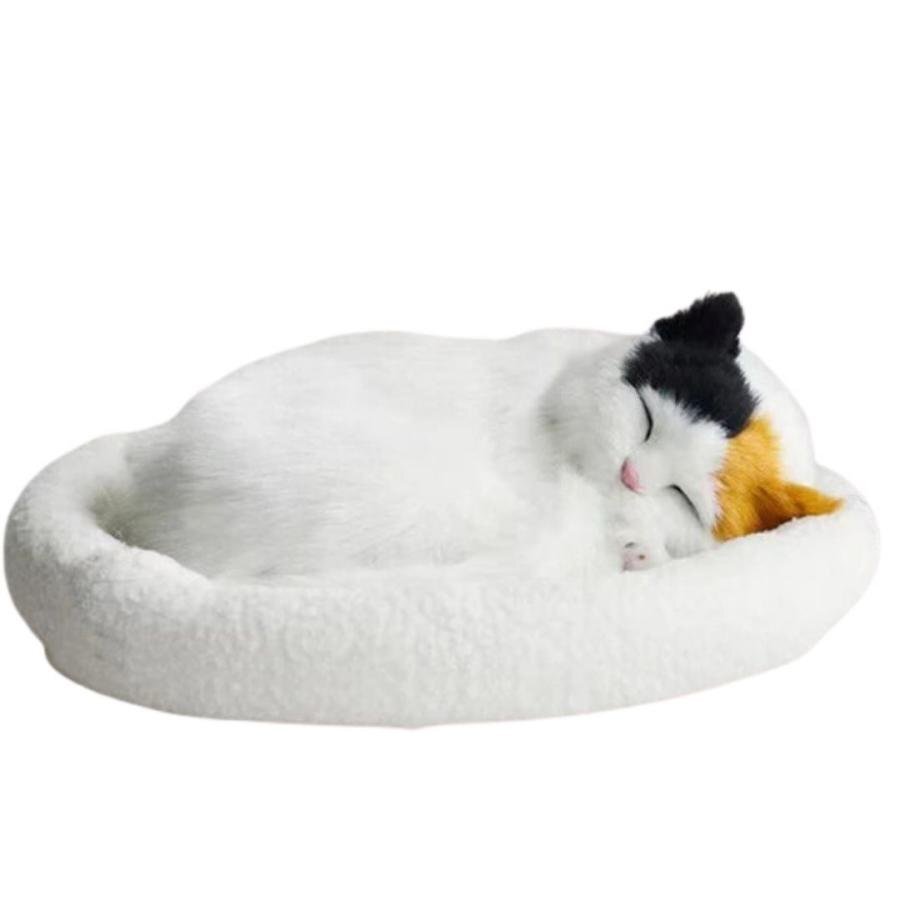 [3 цвет из выбор ][ после покупки сообщение пожалуйста ] интерьер подушка ... кошка 3 цвет цвет кошка Dakimakura животное животное симпатичный 