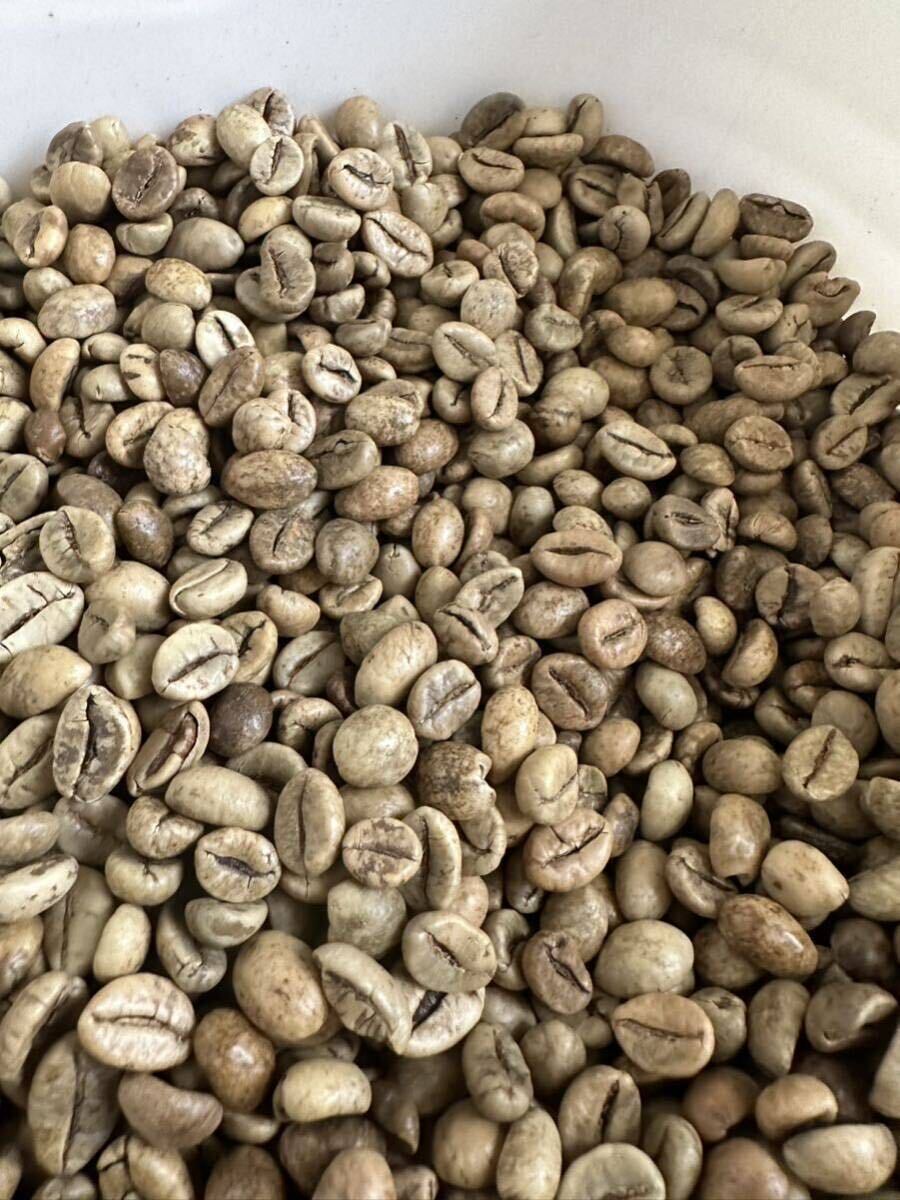 爆安!!【コーヒー生豆】ジャバ/ロブスタ/インドネシア 5kg※送料無料 爆安!!【コーヒー生豆】ジャバ/ロブスタ/インドネシア 5kg ※送料