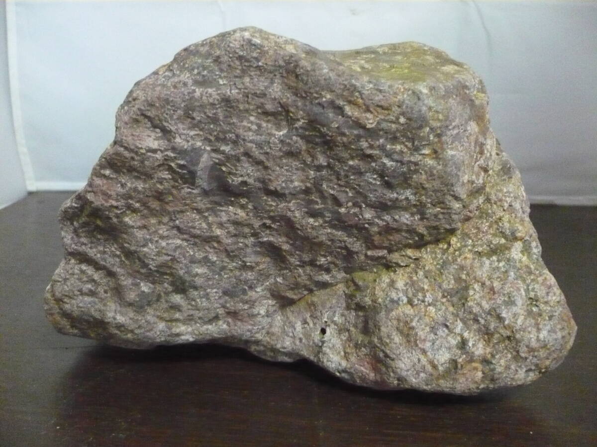 宝30　白山流紋石 3.2kg　自然石　大　原石　菊紋？　①　ポッキリ価格_画像6