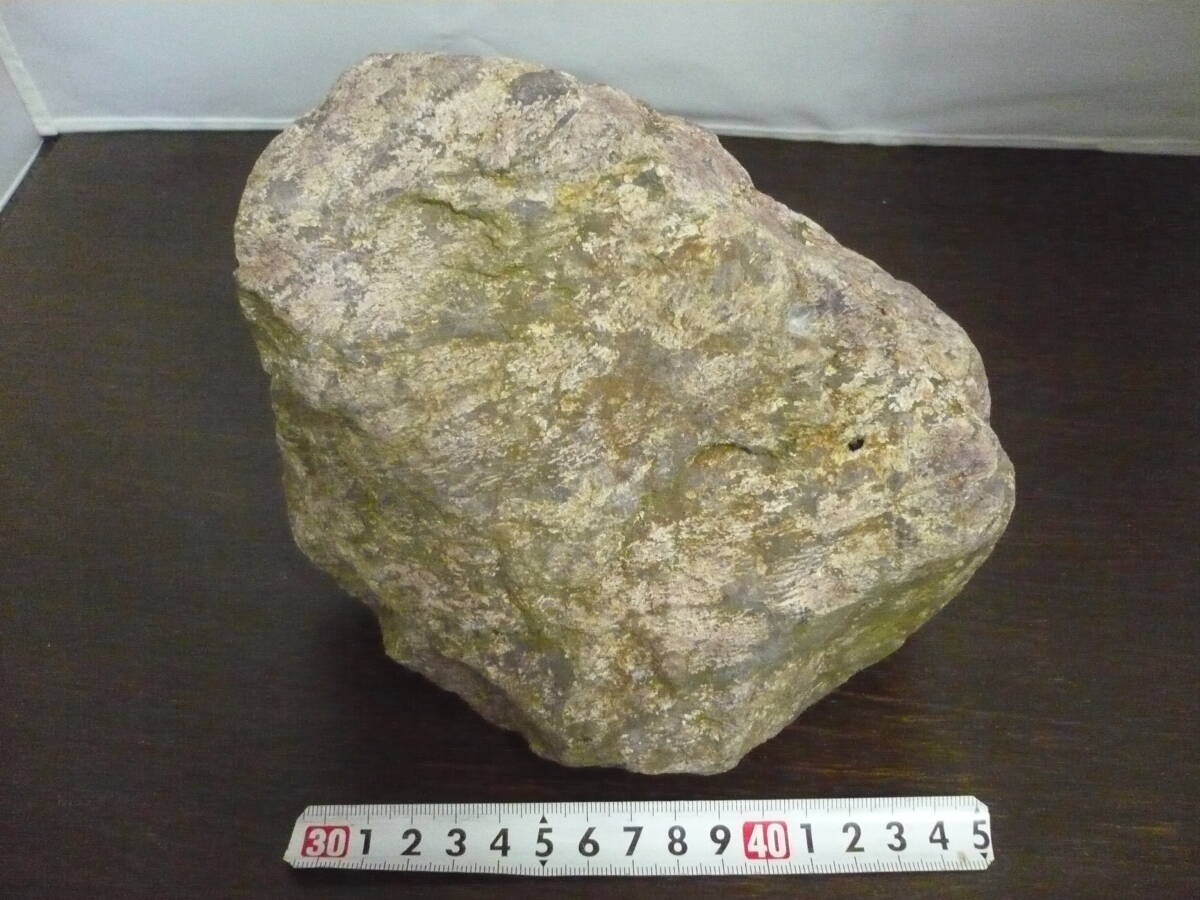 宝30　白山流紋石 3.2kg　自然石　大　原石　菊紋？　①　ポッキリ価格_画像4