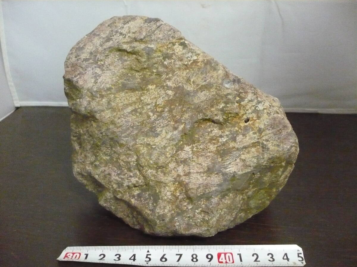 宝30　白山流紋石 3.2kg　自然石　大　原石　菊紋？　①　ポッキリ価格_画像3