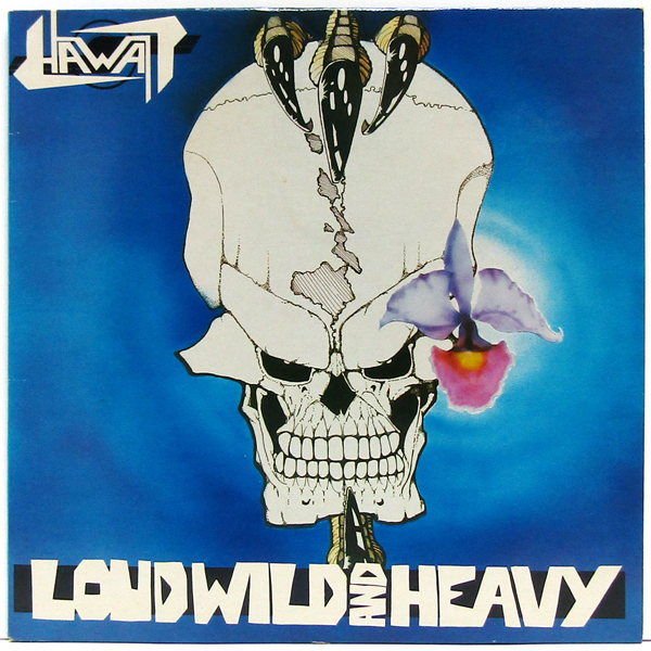 米国12inch☆ HAWAII Loud Wild And Heavy（US Important Cavern Productions IRD 007）Marty Friedman マーティ・フリードマン ハワイ_画像2