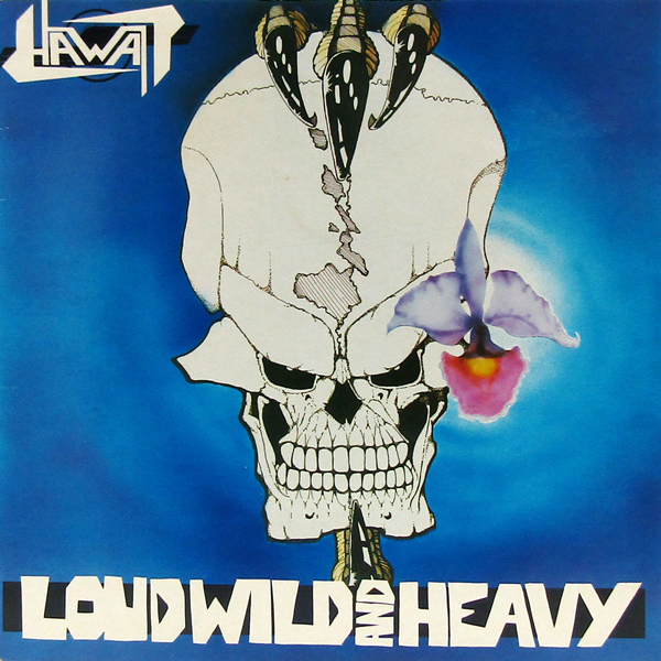 米国12inch☆ HAWAII Loud Wild And Heavy（US Important Cavern Productions IRD 007）Marty Friedman マーティ・フリードマン ハワイ_画像1