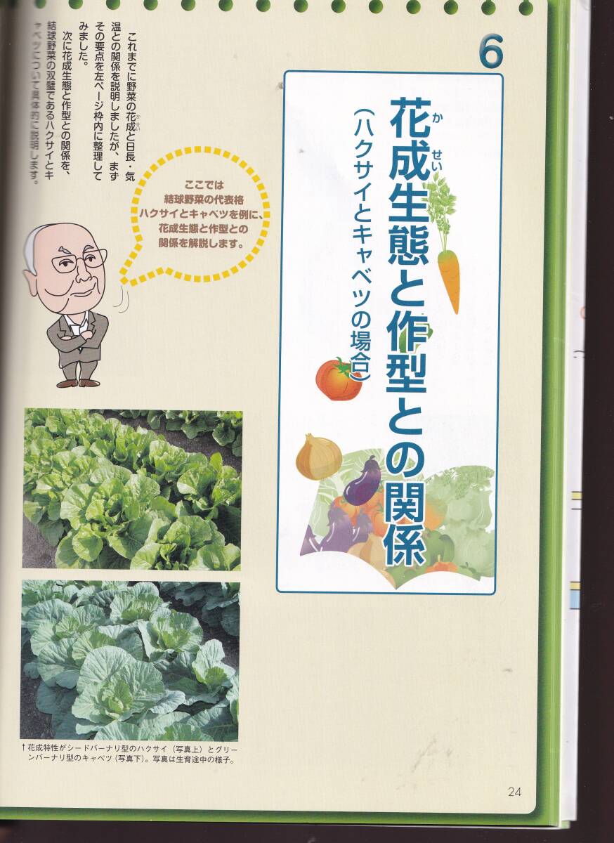 [ царапина есть ] основа из понимать! овощи. произведение type . товар вид сырой . гора река . Хара работа сельское хозяйство документ .(.. овощи ...