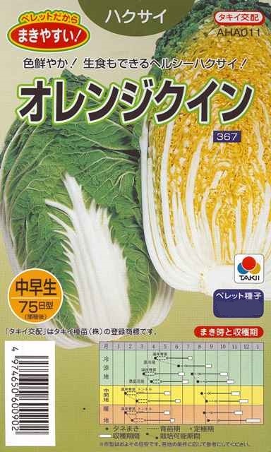 送料無料　オレンジクイン　ハクサイ　２０粒_画像1