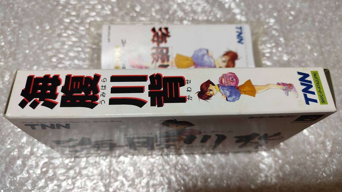 SFC レア！ 海腹川背 [サンプル版] 箱説付 国内正規品 スーパーファミコン_画像9