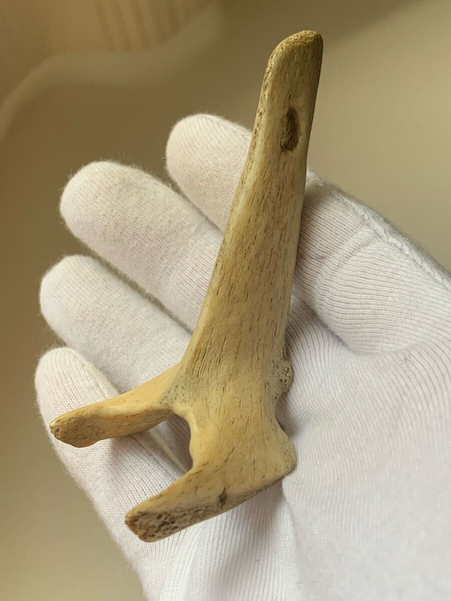 縄文時代 出土品 骨角器 骨製首飾り 古墳副葬品石器土器遺跡弥生勾玉根付髑髏彫刻ガンダーラエジプト古代印章翡翠大珠菅玉化石古銭人骨_画像1