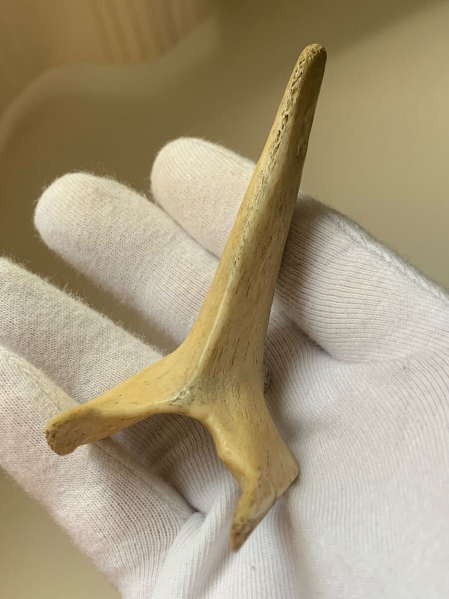 縄文時代 出土品 骨角器 骨製首飾り 古墳副葬品石器土器遺跡弥生勾玉根付髑髏彫刻ガンダーラエジプト古代印章翡翠大珠菅玉化石古銭人骨_画像2