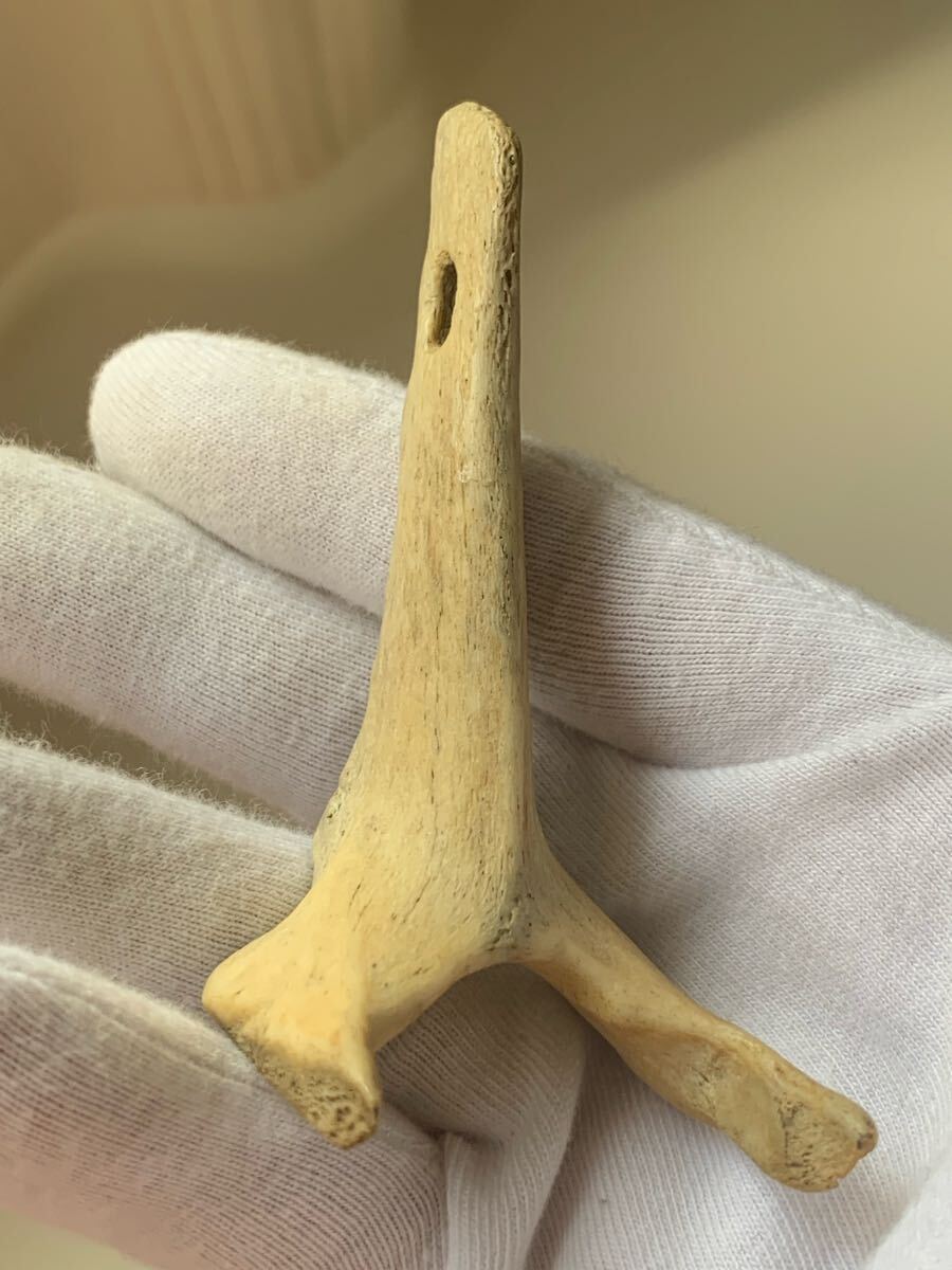 縄文時代 出土品 骨角器 骨製首飾り 古墳副葬品石器土器遺跡弥生勾玉根付髑髏彫刻ガンダーラエジプト古代印章翡翠大珠菅玉化石古銭人骨_画像3