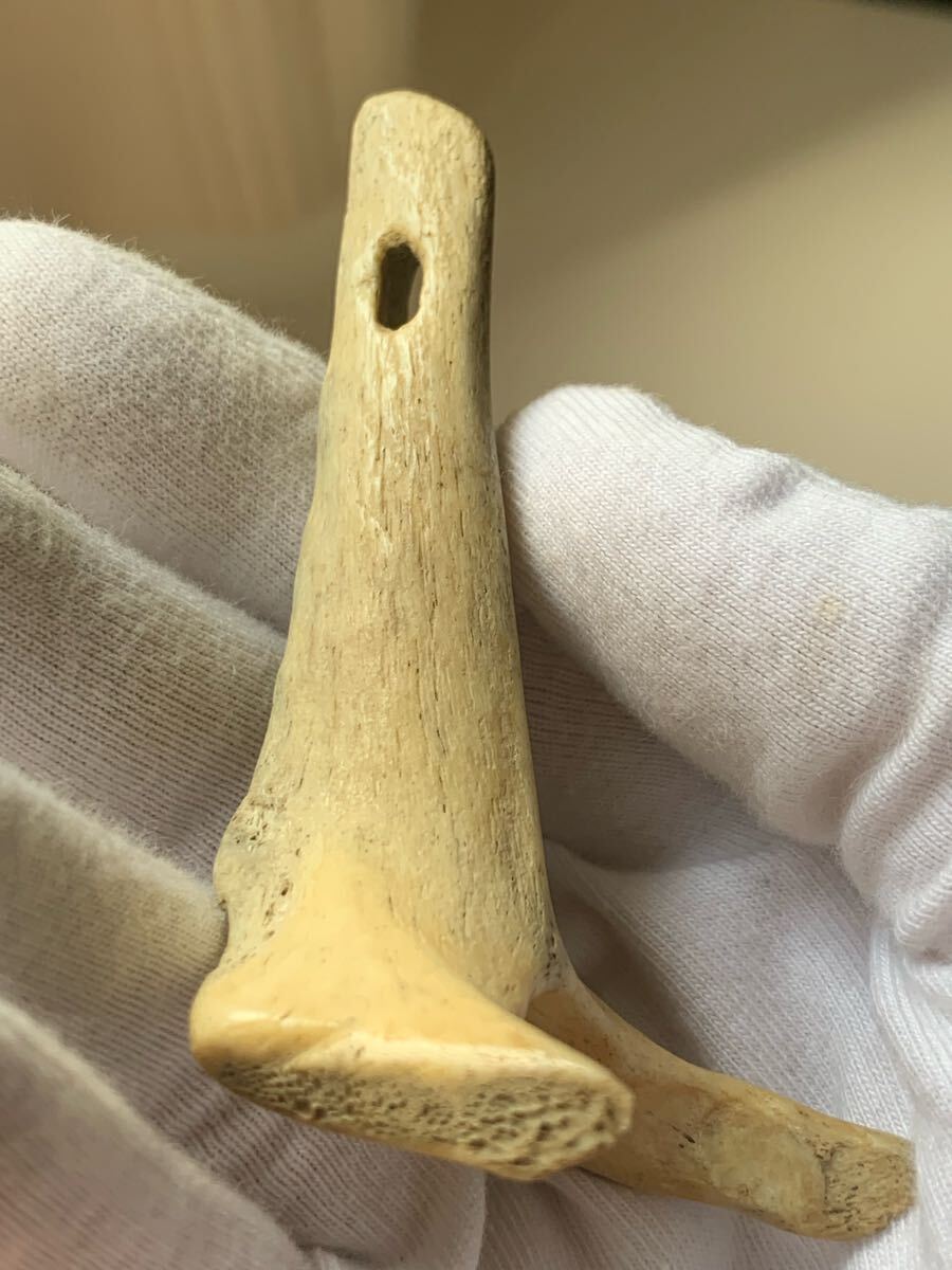 縄文時代 出土品 骨角器 骨製首飾り 古墳副葬品石器土器遺跡弥生勾玉根付髑髏彫刻ガンダーラエジプト古代印章翡翠大珠菅玉化石古銭人骨_画像4