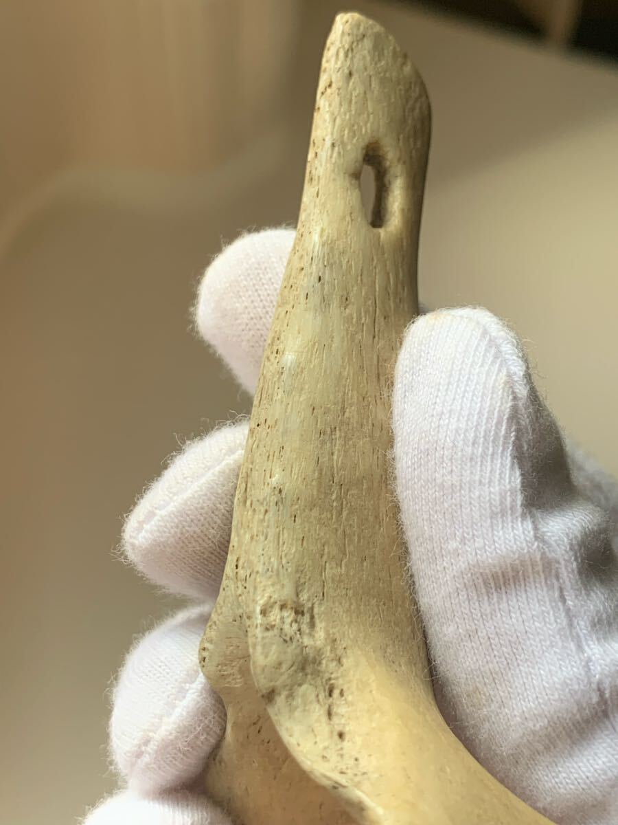 縄文時代 出土品 骨角器 骨製首飾り 古墳副葬品石器土器遺跡弥生勾玉根付髑髏彫刻ガンダーラエジプト古代印章翡翠大珠菅玉化石古銭人骨_画像6