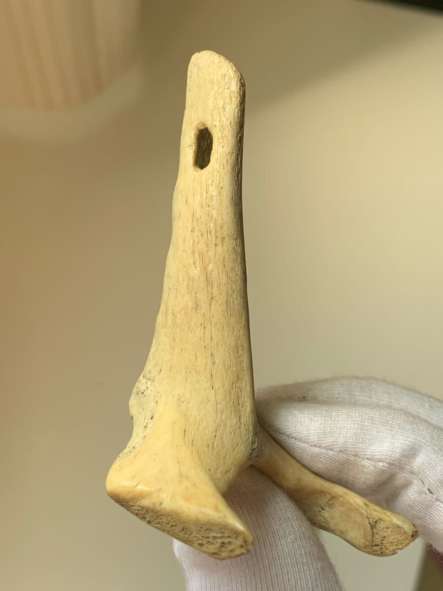 縄文時代 出土品 骨角器 骨製首飾り 古墳副葬品石器土器遺跡弥生勾玉根付髑髏彫刻ガンダーラエジプト古代印章翡翠大珠菅玉化石古銭人骨_画像10