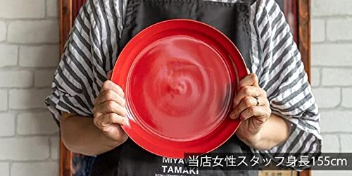 TAMAKI プレートL ヒナタ HINATA グレー 直径16.1×高さ1.8cm 電子レンジ・食洗機対応 T-941928_画像7