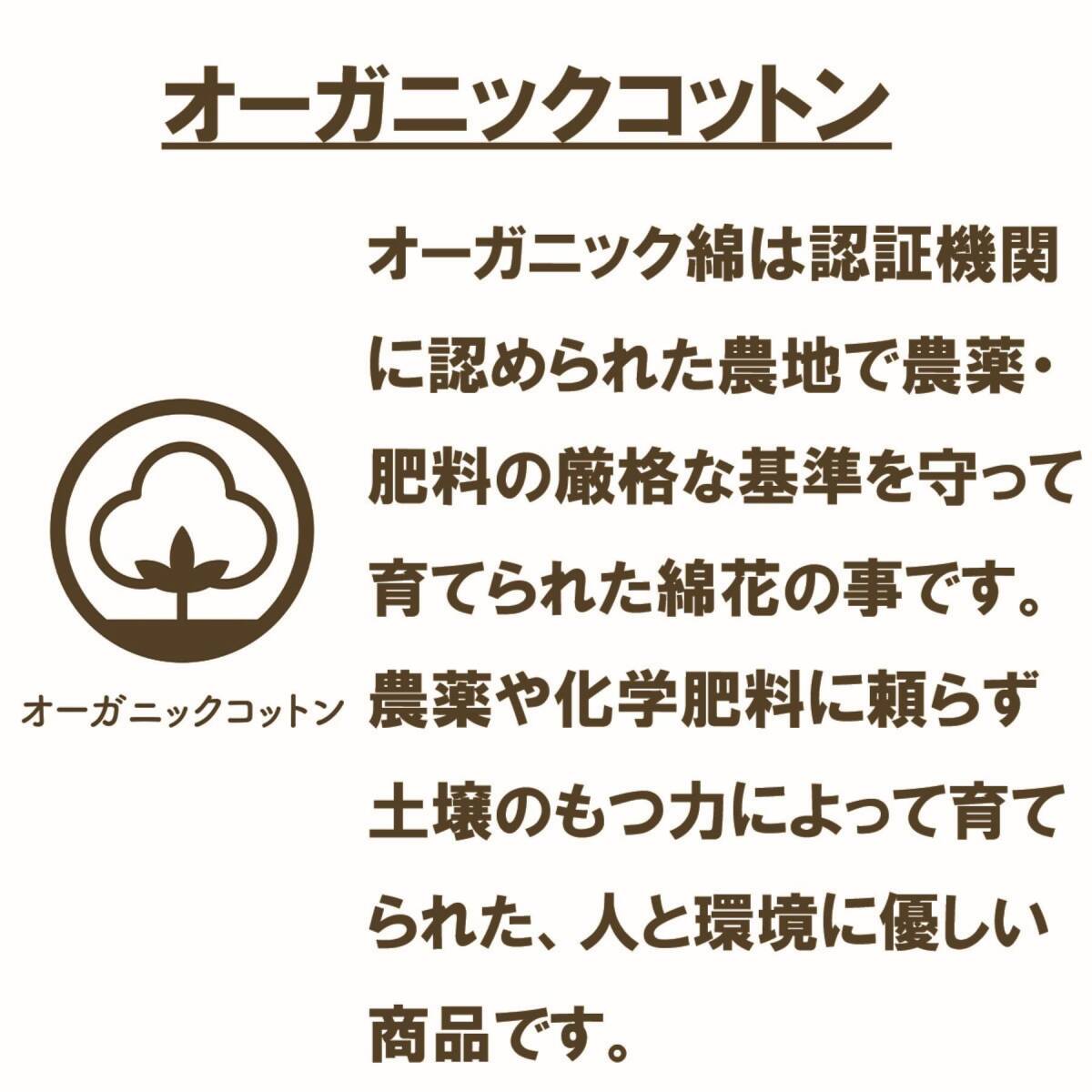 丸眞 ミニタオル MOOMIN ムーミン イルタ ハンドタオル オーガニックコットン 綿100% キャラクター 抗菌 防臭 プレゼント ギフト_画像6