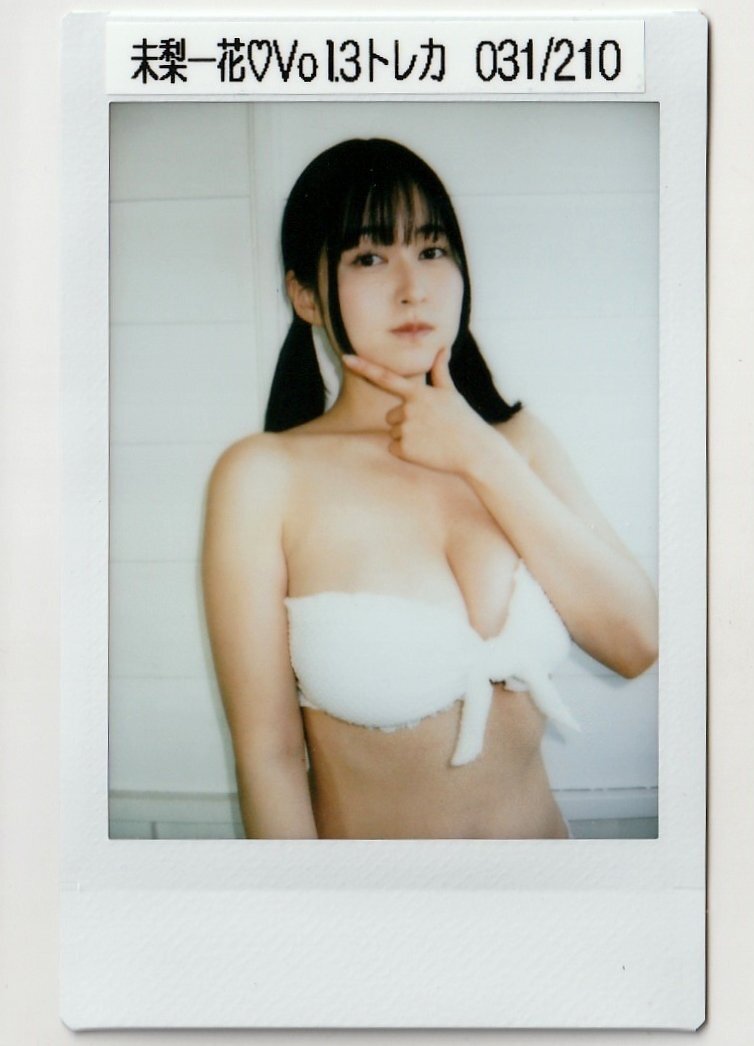 1of1[Hit's не груша один цветок Vol.3]31/210 off Schott бикини Cheki ( упаковка выбрасывание ) коллекционная карточка 