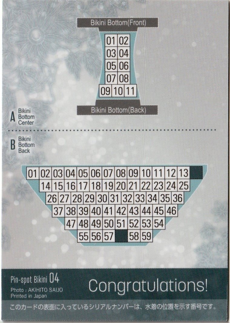 [Hit's не груша один цветок Vol.3]52/59 булавка spo бикини карта 04( хлеб ti задний .. часть ) коллекционная карточка 