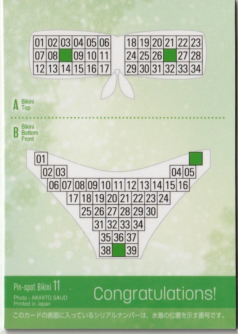  немного sili34 листов ограничение [Hit's не груша один цветок Vol.3]14/34 булавка spo бикини карта 11( бюстгальтер сосок внизу ) коллекционная карточка 