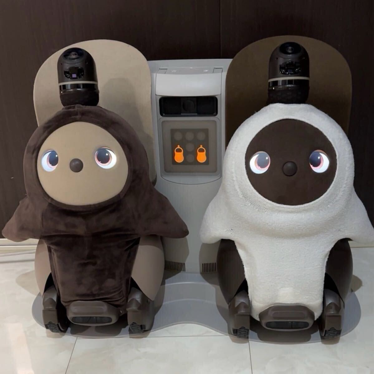 LOVOT Duo ラボット 双子 その他