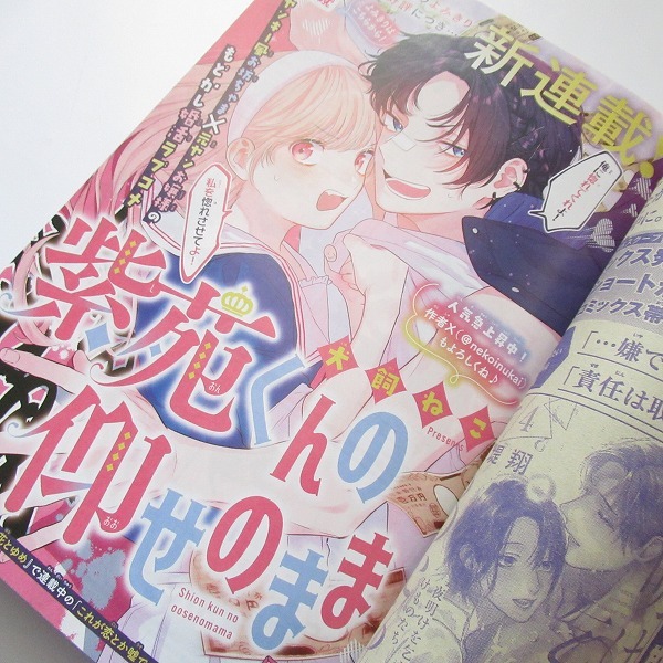 白泉社 花とゆめ 2025年13号 暁のヨナ 多聞くん今どっち!? 春の嵐とモンスター 推しに甘噛み 山田の学級日誌 顔だけじゃ好きになりません_画像3
