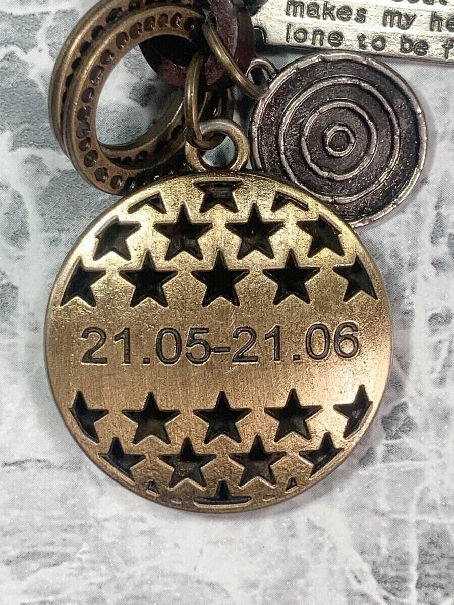 ★送料無料★「ふたご座/双子座/ジェミニ 十二星座 ギリシャ/ギリシア神話 キーホルダー」tface-g 【タグ:アクセサリー】 T07/11_画像9