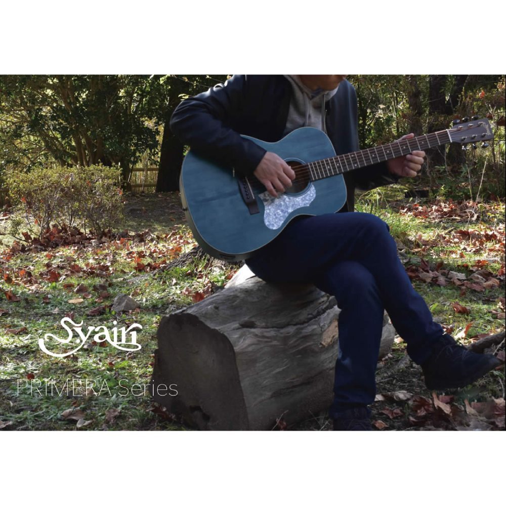 S.Yairi Primera серии YEF-01 DBL OM TYPE электроакустическая гитара FISHMAN pick up установка (S. Yairi )