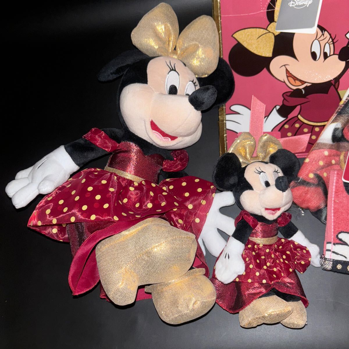 東京ディズニーリゾート店25周年記念 ミニーセット 顔厳選 5点セット【東京ディズニーリゾート店限定】ミニー セット 25