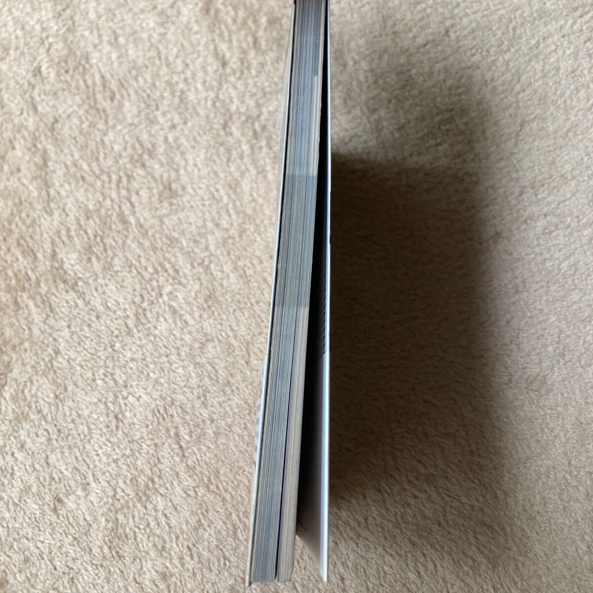 エクスターミネーション 公式ガイドブック　中古本　即決　送料込み_画像4