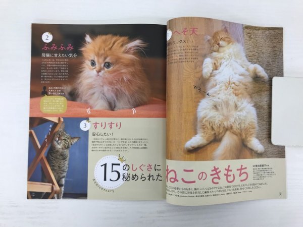 [GY3095] ねこのきもち 15のしぐさに秘められた ねこのきもち 2020年6月号 vol.181 2020年5月10日 Benesse 愛猫 対策 健康 病気 しつけ_画像3