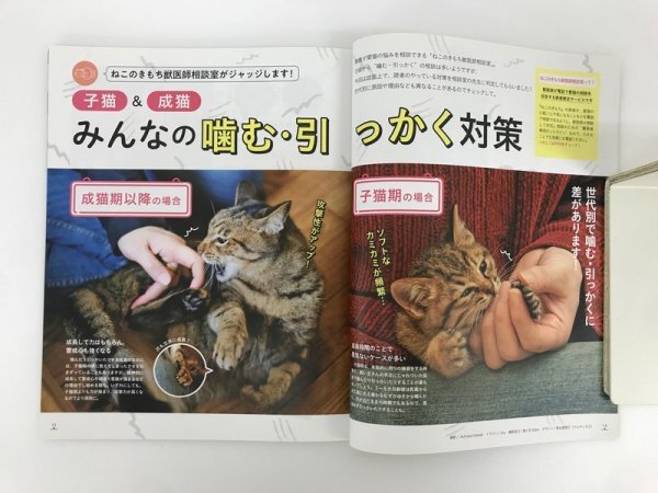 [GY3115] ねこのきもち 全世代 噛む引っかく問題、どうする? 2021年 3月号 2021年2月10日 Benesse vol.190 愛猫 猫種 健康 子猫 シニア猫_画像3