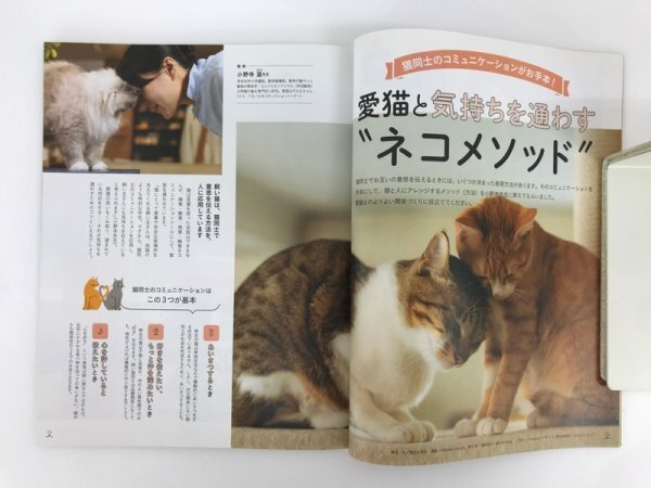 [GY3116] ねこのきもち 愛猫とココロが近付く 魔法のネコメゾット 2021年 4月号 2021年3月10日 Benesse vol.191 さくら猫 防災 健康 病気_画像3