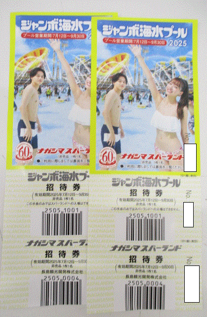 (1879/) ナガシマスパーランド ジャンボ海水プール 入場券 2枚セット