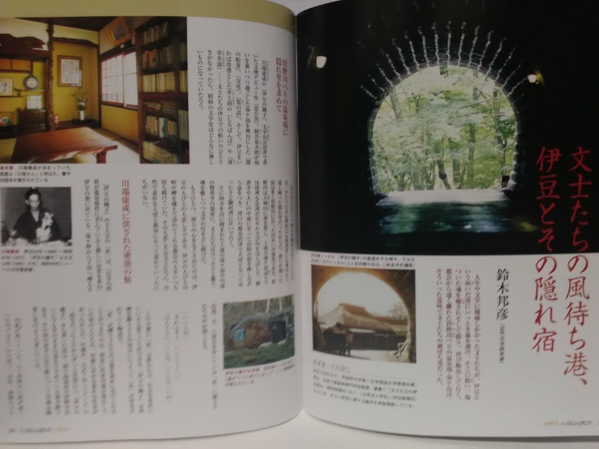 絶版◆◆週刊にっぽん川紀行18 狩野川◆◆伊豆 静岡県☆修善寺温泉街 桂川 地蔵堂川 天城湯ヶ島 伊豆箱根鉄道☆湯ケ島温泉 ワサビ田 鮎釣り_画像9