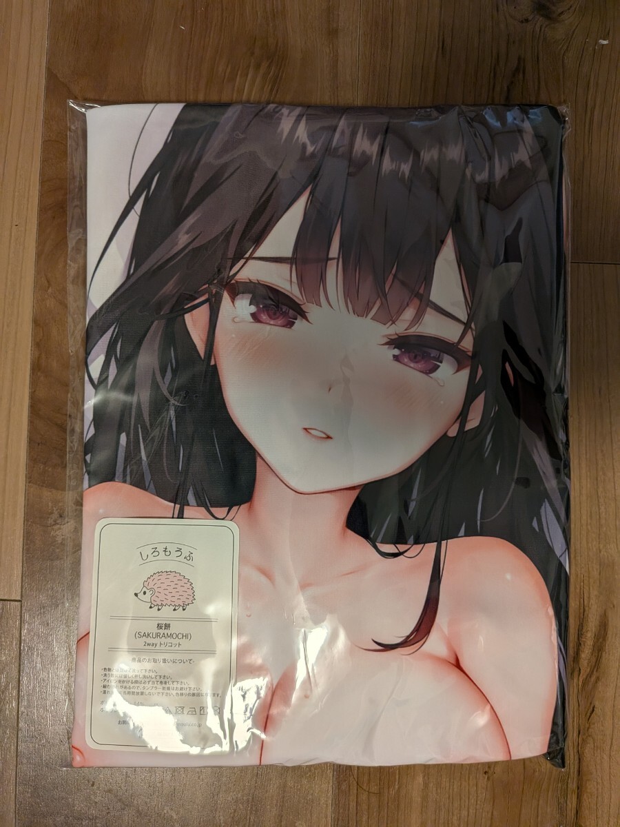 てごねスパイク 懐眠少女 玄河阿墨抱き枕カバー 俺の嫁！伍拾 コミケ106 煎路_画像1