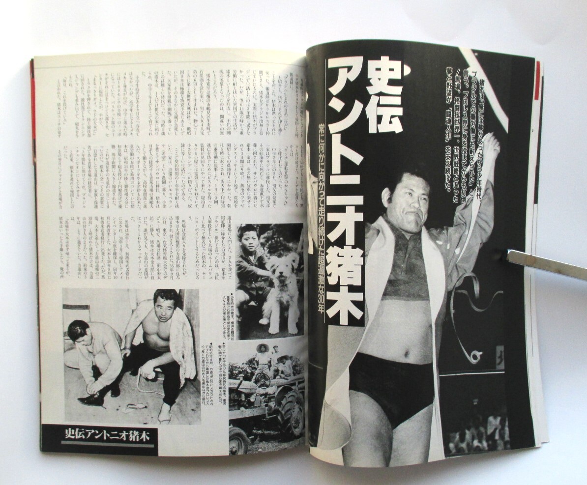  гонг боевые искусства 1990 год 11 месяц номер больше .ja Ian to лошадь место Anne tonio. дерево debut 30 anniversary commemoration номер ..(.......)30 год история 