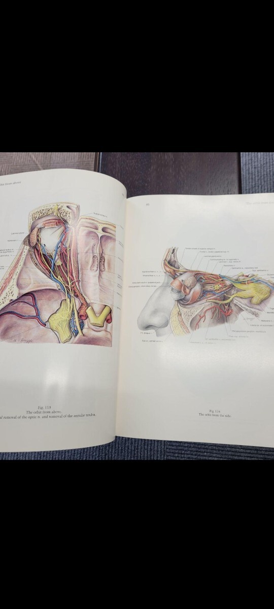 ペルンコップ臨床局所解剖学アトラス 第1巻 (頭部・頸部)