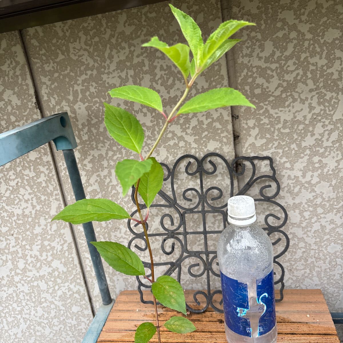 item_image_8