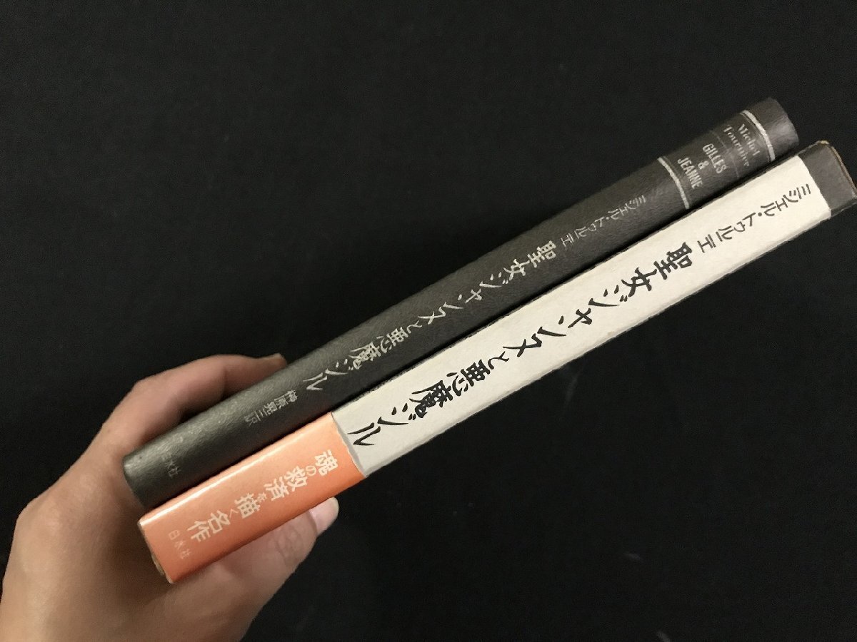 wΩ 聖女ジャンヌと悪魔ジル 著=ミシェル・トゥルニエ 訳=榊原晃三 1987年2刷 白水社 古書 / t-G05_画像3