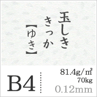 玉しき きっか 「ゆき」 81.4g/平米 0.12mm B4サイズ：1500枚 印刷紙 印刷用紙 松本洋紙店_画像5