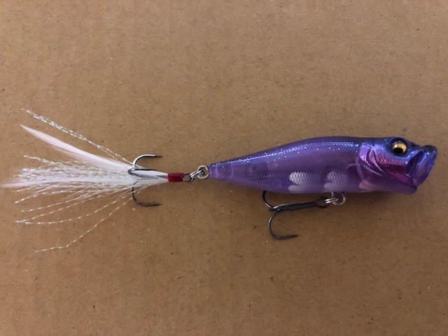 メガバス　オンラインショップ限定カラー　紫ダルマ　ポップエックス　sp-c メガバス オンラインショップ限定カラー 紫ダルマ ポップ