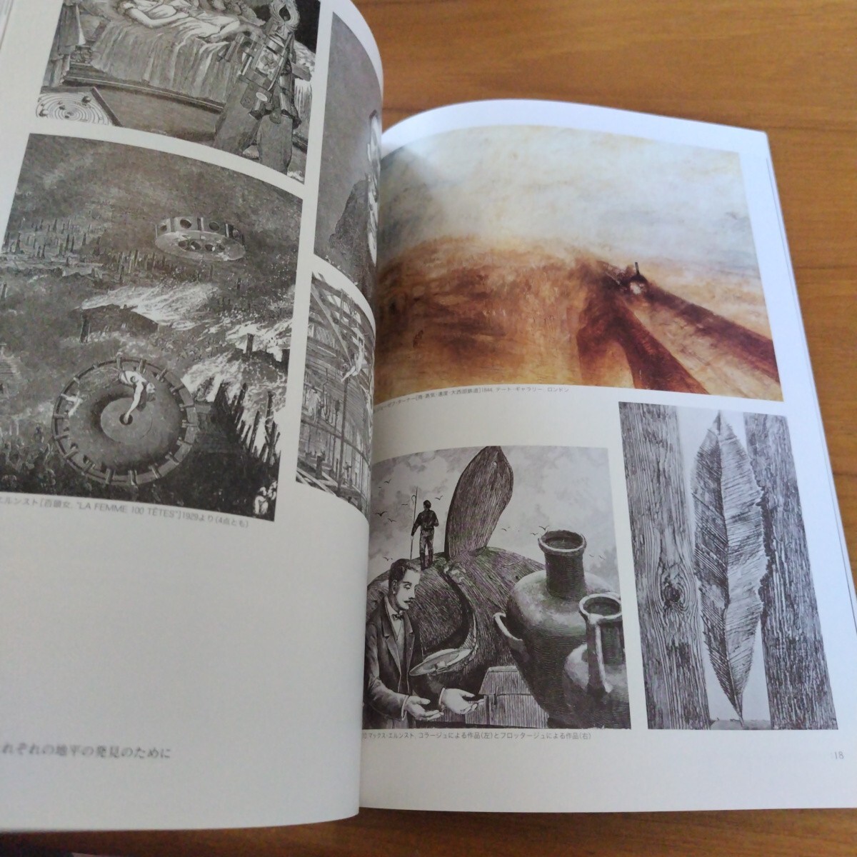 絵画 専門書◆複合的表現 絵画からの展開 武蔵野美術大学出版局/油絵学科/島眞一 小野皓一 袴田京太朗 長沢秀之 赤塚祐二 中林和雄/sskw1_画像4