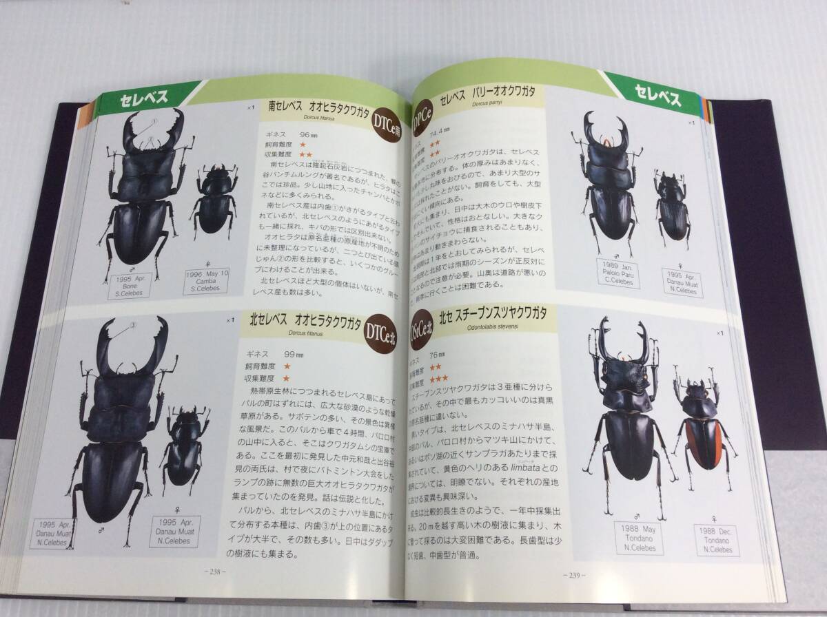 【特装版】世界のクワガタG(ギネス) 西山保典/著 木曜社 図鑑 【D-02】_画像8