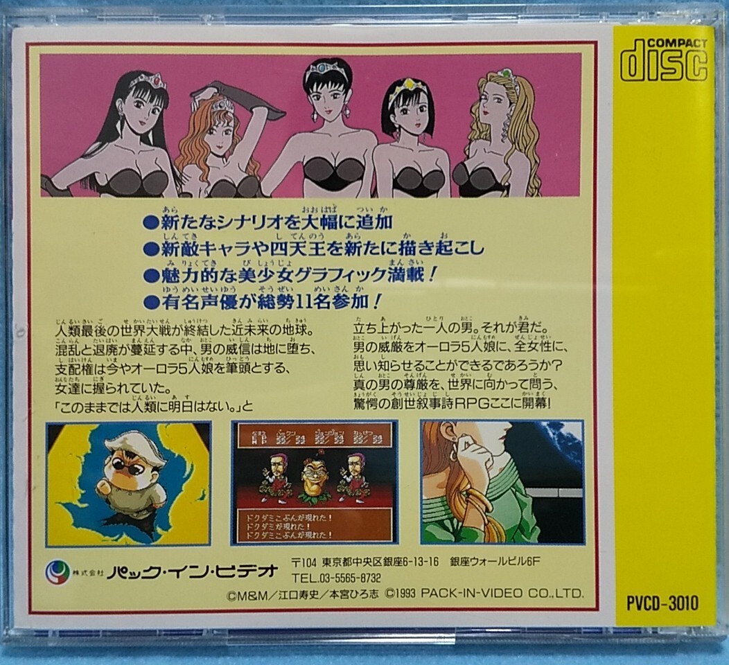 【動作確認済み】PC Engine CD-ROM「オーロラクエスト」江口寿史 本宮ひろ志 PCエンジン CDロム ゲームソフト 八王子引き取りOK_画像4