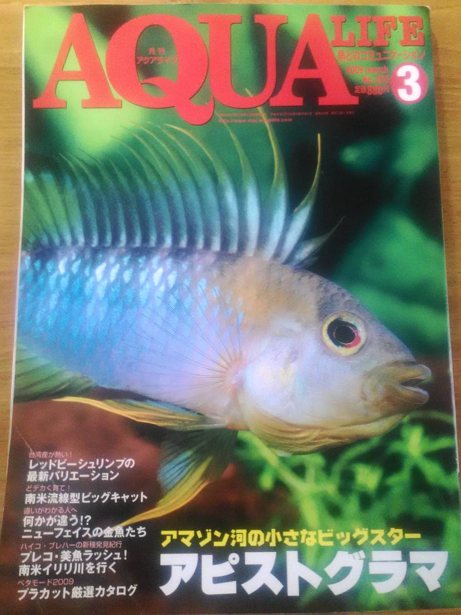 「月刊アクアライフ 2009年3月号　No.356」 アピストグラマ/飼育/繁殖/レッドビーシュリンプ/ビッグキャット/ブラインシュリンプ_画像1