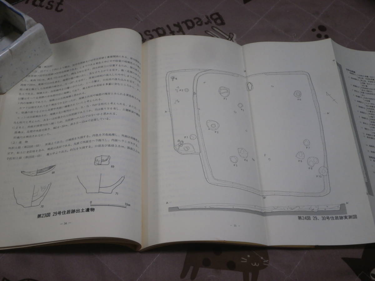 発掘調査　福島県　駅前地区遺跡発掘調査報告概報　「３」　塚畑遺跡　1987年　須賀川市教育委員会　BG20_画像4